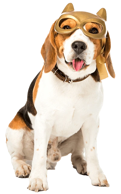 Pet Care