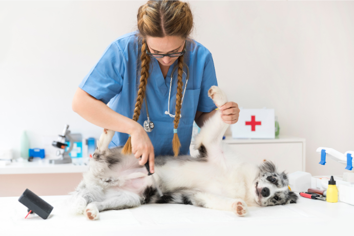 Emergency Care